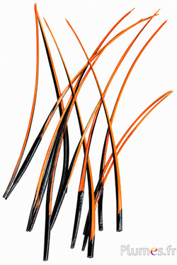 Gans schacht - 25-30 cm - zwart-oranje